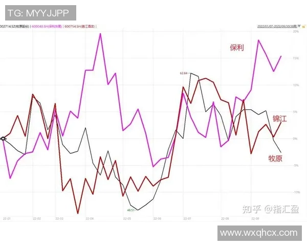深圳网球队实力飙升再创佳绩引发全国关注与期待 深圳网球队实力飙升再创佳绩引发全国关注与期待