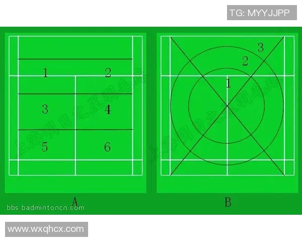 深圳羽毛球队战术解析与控制体系的深度剖析与应用探讨 深圳羽毛球队战术解析与控制体系的深度剖析与应用探讨