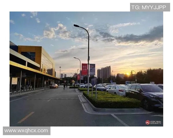 专业解读：西安极限运动队的盯防打法