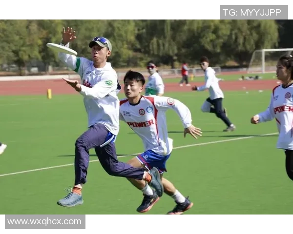 飞盘深度:解密深圳飞盘队的转换 飞盘深度:解密深圳飞盘队的转换